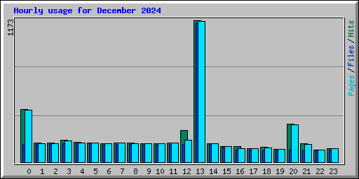 Hourly usage for December 2024