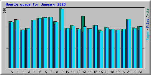 Hourly usage for January 2025