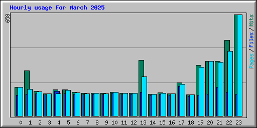 Hourly usage for March 2025