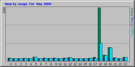Hourly usage for May 2025