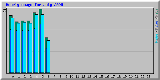 Hourly usage for July 2025